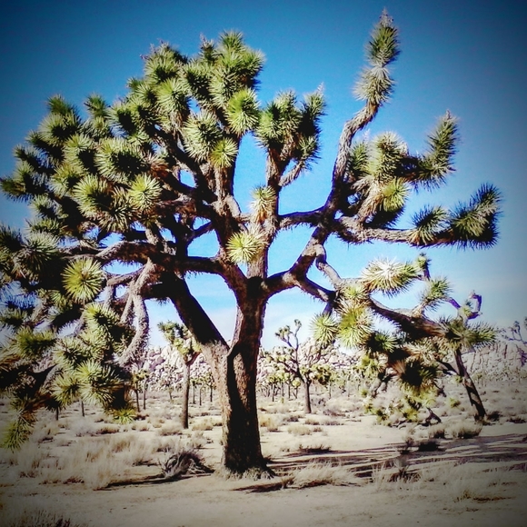 Meet your Posher, Christian - Picture 4 of 4